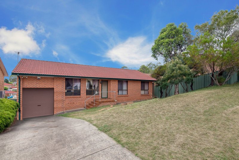 55 Fenton Crescent, Minto NSW 2566