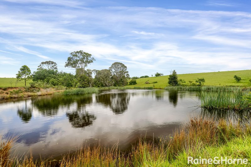 Photo - 55 Greenmeadow Lane, Nowra Hill NSW 2540 - Image 4