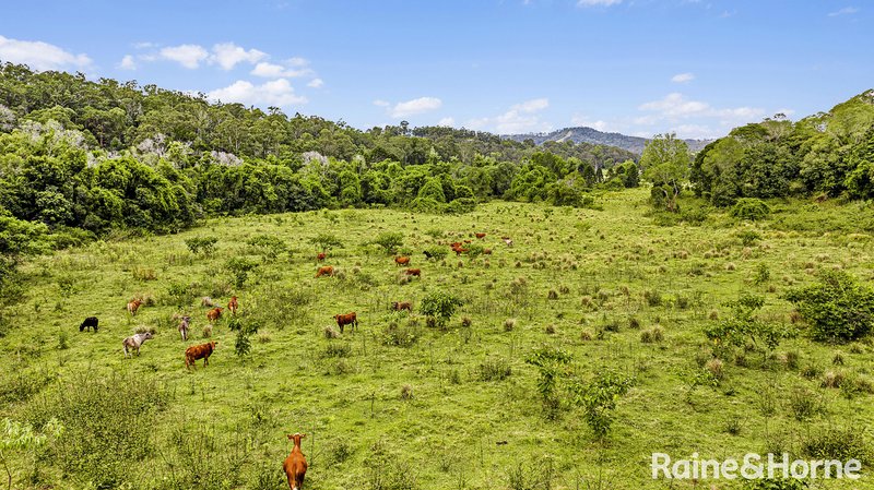 Photo - 55 Hordern Road, Brooloo QLD 4570 - Image 4