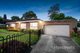 Photo - 55 Ireland Avenue, Wantirna South VIC 3152 - Image 1