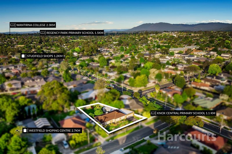 Photo - 55 Ireland , Wantirna South VIC 3152 - Image 6