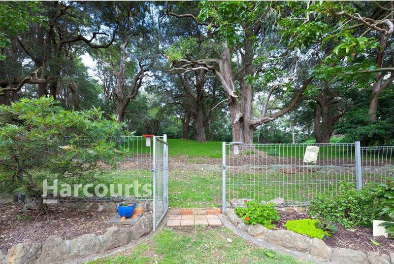 Photo - 55 Mcbrien Drive, Kiama Downs NSW 2533 - Image 4