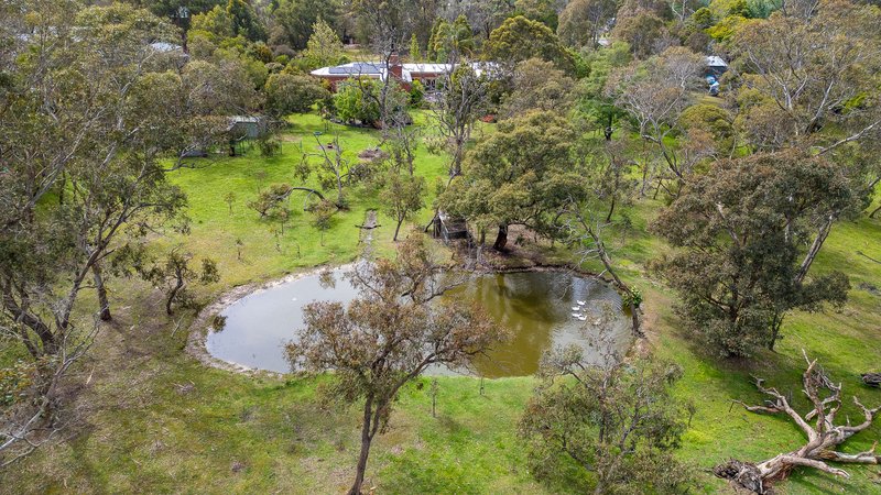 Photo - 55 Newton Avenue, Langwarrin South VIC 3911 - Image 20