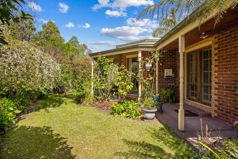 Photo - 55 Newton Avenue, Langwarrin South VIC 3911 - Image 23