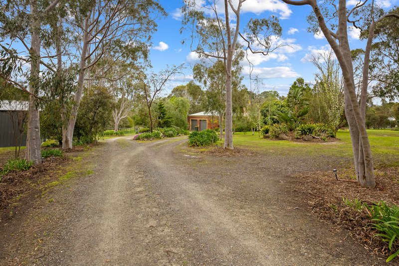 Photo - 55 Newton Avenue, Langwarrin South VIC 3911 - Image 25