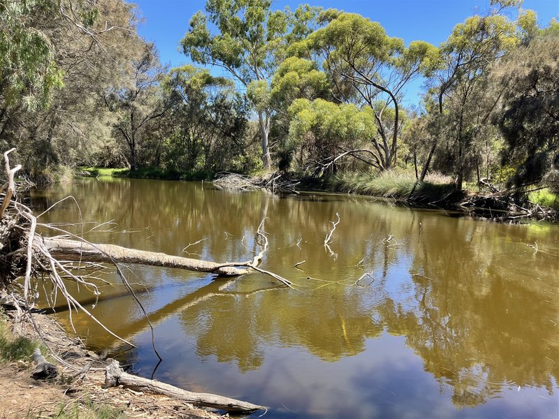 Photo - 55 Old Pinjarra Road, Greenfields WA 6210 - Image 7