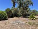 Photo - 55 Old Pinjarra Road, Greenfields WA 6210 - Image 9