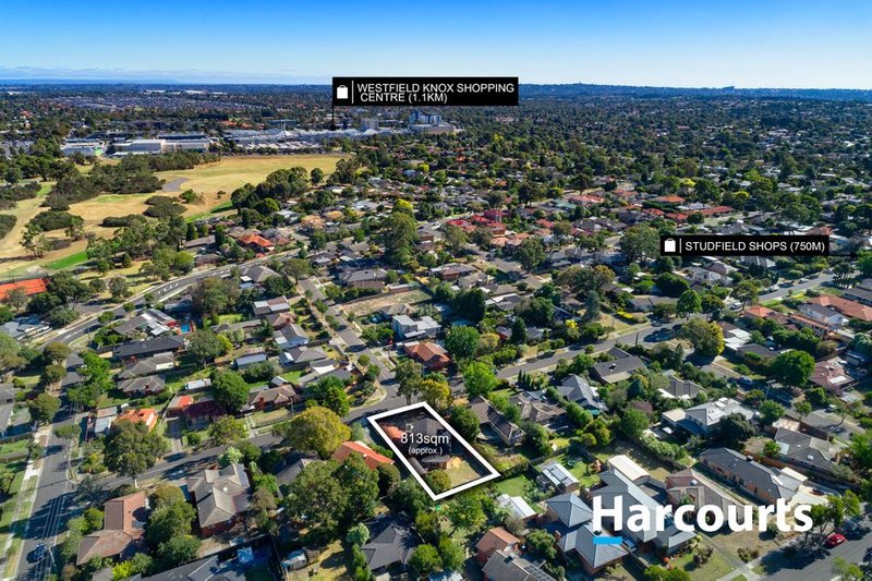 Photo - 55 Somerset Street, Wantirna South VIC 3152 - Image 7