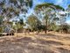 Photo - 55 Somerton South Road, Bibaringa SA 5118 - Image 22