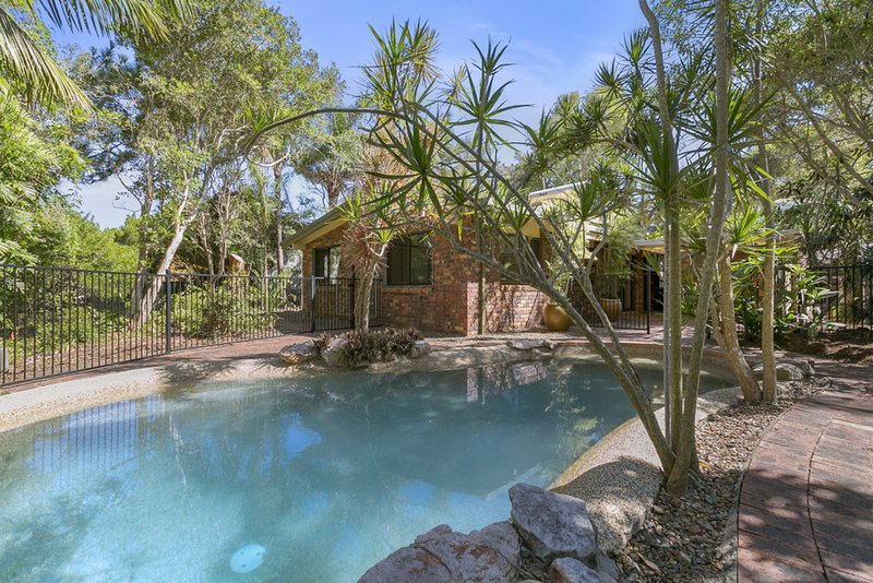 Photo - 55 Spoonbill Street, Peregian Beach QLD 4573 - Image 1