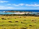 Photo - 55 Tasman Highway, Bicheno TAS 7215 - Image 32