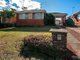 Photo - 55 Wall Avenue, Panania NSW 2213 - Image 1