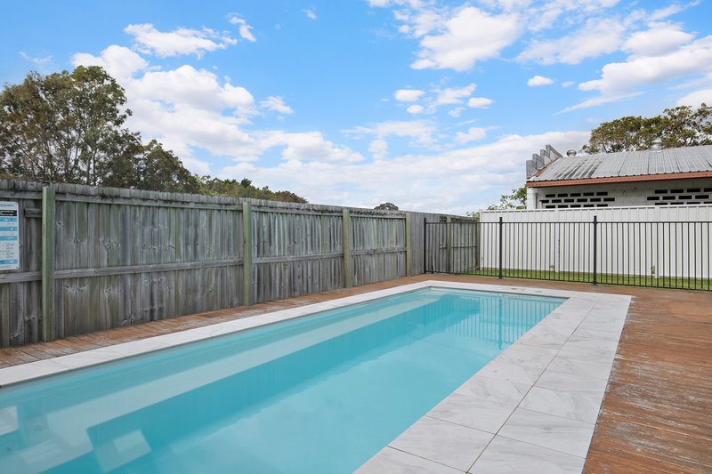 Photo - 55 Webster Avenue, Hendra QLD 4011 - Image 3