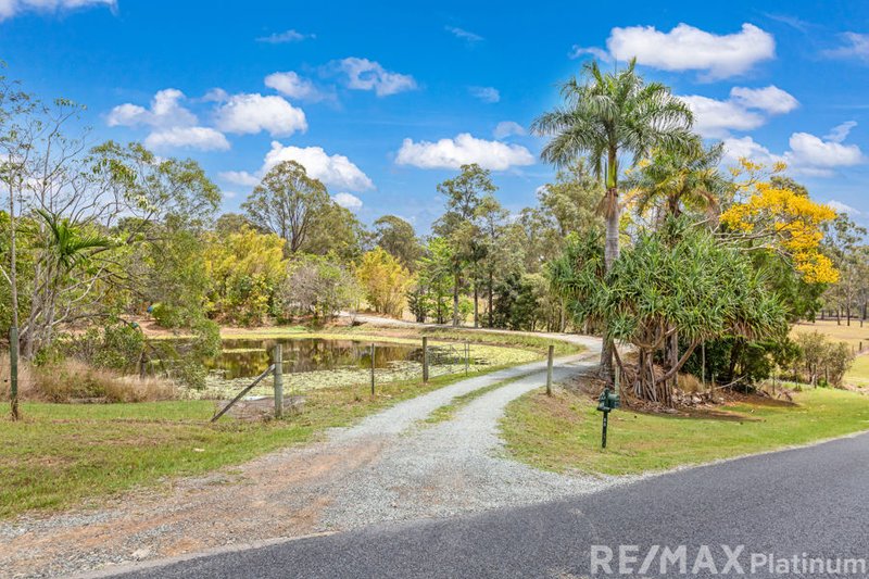 Photo - 55 Wingara Drive, Morayfield QLD 4506 - Image 2