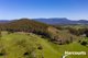 Photo - 550 Liena Road, Mole Creek TAS 7304 - Image 2