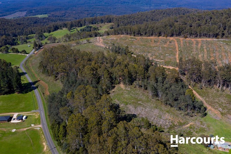 Photo - 550 Liena Road, Mole Creek TAS 7304 - Image 3