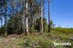 Photo - 550 Liena Road, Mole Creek TAS 7304 - Image 5