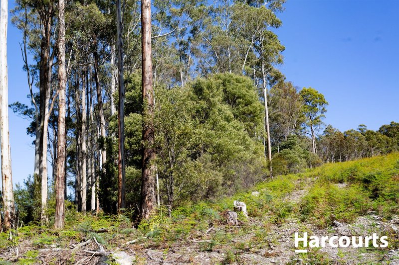 Photo - 550 Liena Road, Mole Creek TAS 7304 - Image 9