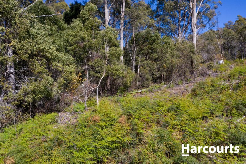 Photo - 550 Liena Road, Mole Creek TAS 7304 - Image 11