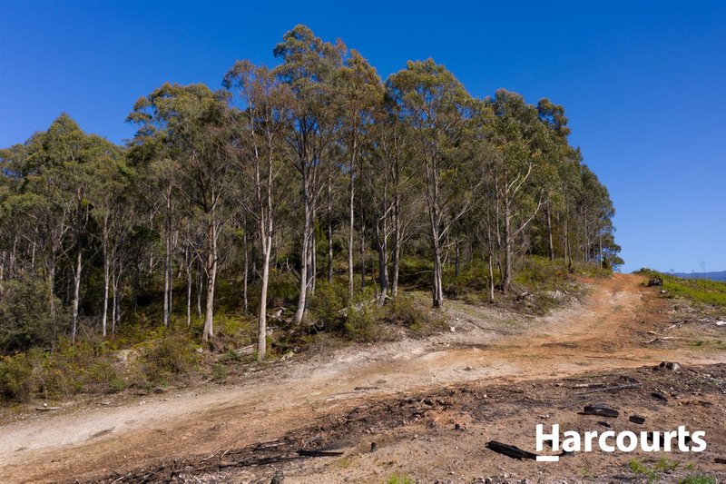 Photo - 550 Liena Road, Mole Creek TAS 7304 - Image 12