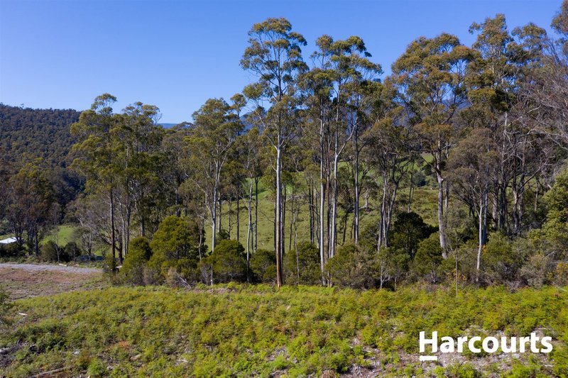 Photo - 550 Liena Road, Mole Creek TAS 7304 - Image 14