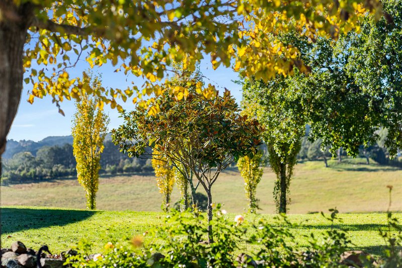 Photo - 550 Oxleys Hill Road, Berrima NSW 2577 - Image 32