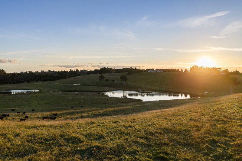 Photo - 550 Oxleys Hill Road, Berrima NSW 2577 - Image 33