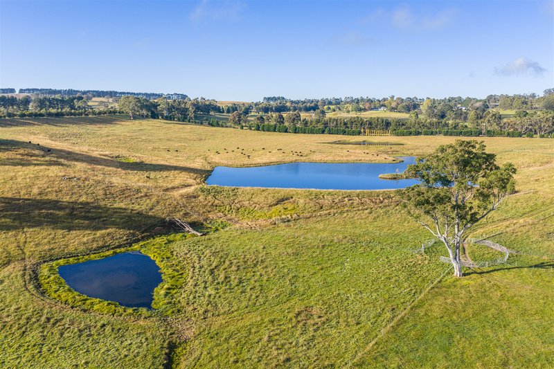 Photo - 550 Oxleys Hill Road, Berrima NSW 2577 - Image 34