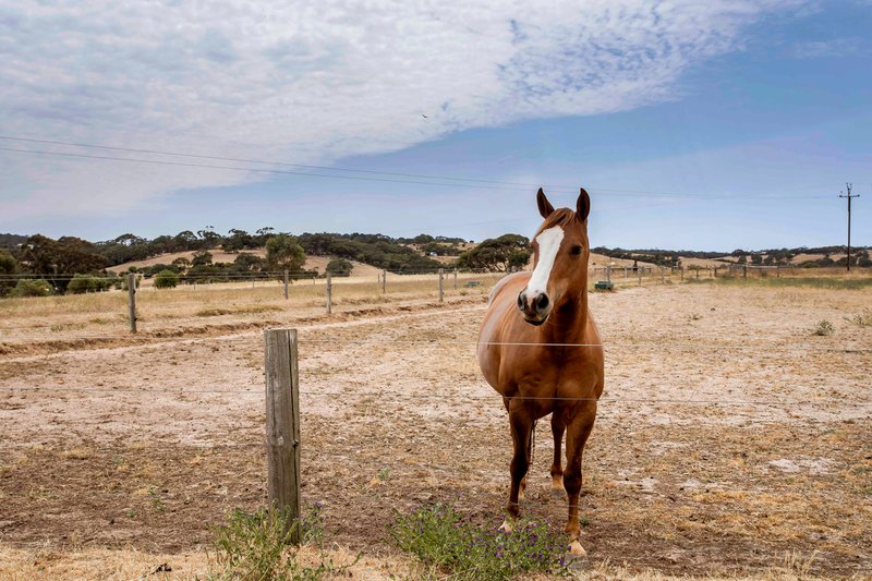 Photo - 550 Panalatinga Road, Onkaparinga Hills SA 5163 - Image 2