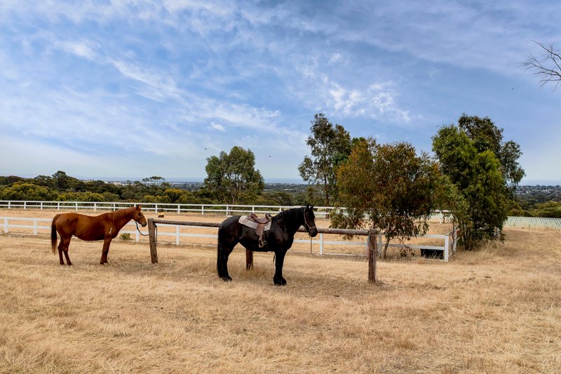 Photo - 550 Panalatinga Road, Onkaparinga Hills SA 5163 - Image 5