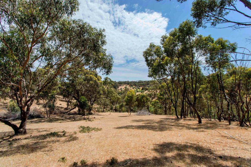 Photo - 550 Panalatinga Road, Onkaparinga Hills SA 5163 - Image 11