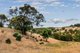 Photo - 550 Panalatinga Road, Onkaparinga Hills SA 5163 - Image 17