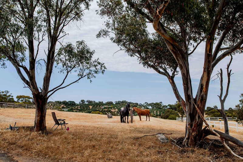 Photo - 550 Panalatinga Road, Onkaparinga Hills SA 5163 - Image 21