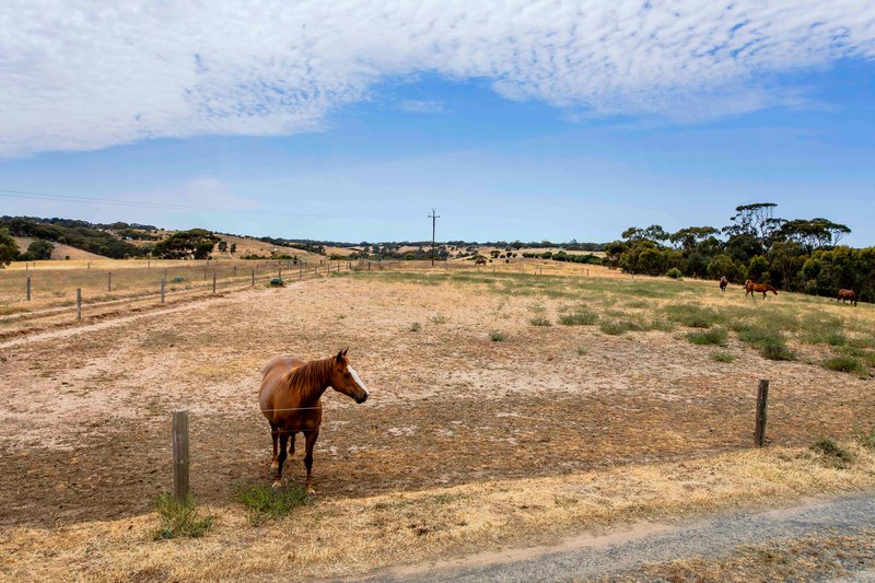 Photo - 550 Panalatinga Road, Onkaparinga Hills SA 5163 - Image 30