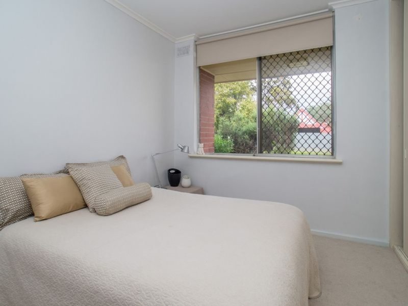 Photo - 5/51 Phillis Street, Maylands SA 5069 - Image 8