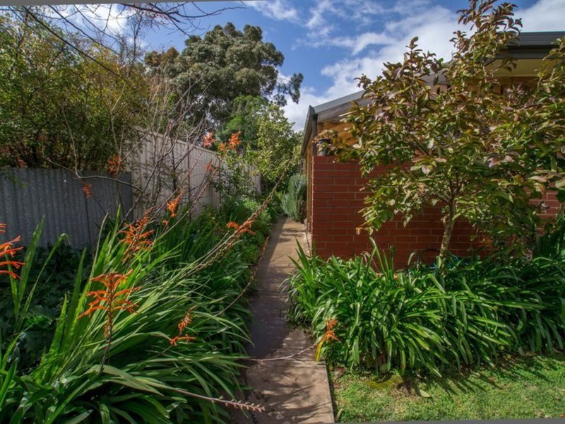 Photo - 5/51 Phillis Street, Maylands SA 5069 - Image 17