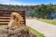 Photo - 552 Cockatoo Gully Road, Elderslie TAS 7030 - Image 31