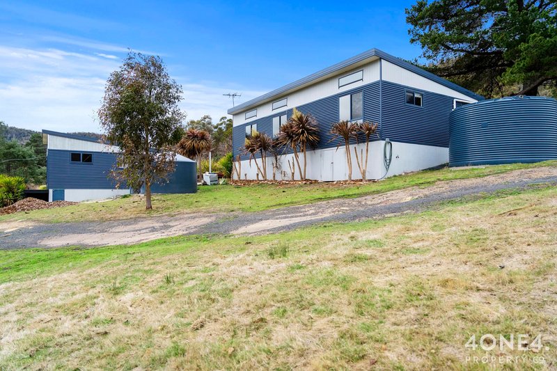 Photo - 552 Cockatoo Gully Road, Elderslie TAS 7030 - Image 32