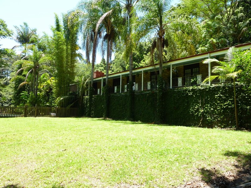 Photo - 553 Upper Orara Road, Upper Orara NSW 2450 - Image 22