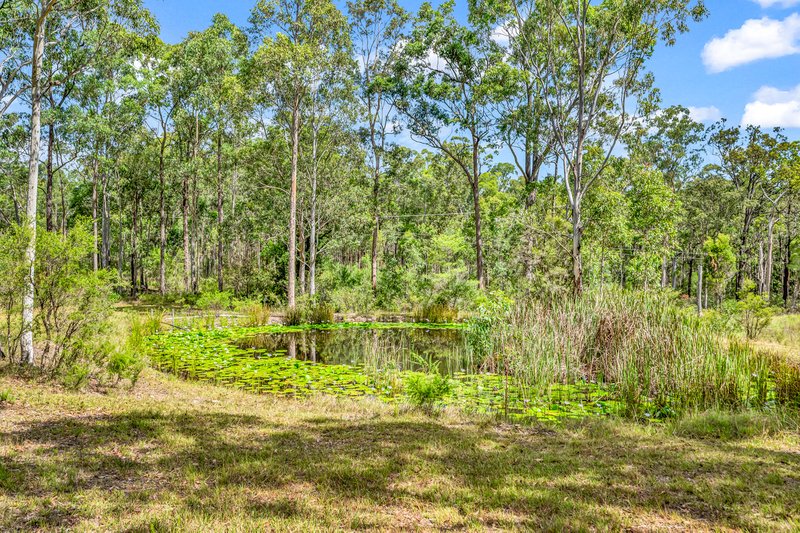 Photo - 554 Limeburners Creek Road, Clarence Town NSW 2321 - Image 18