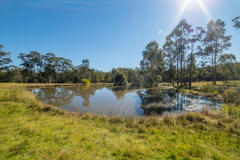 Photo - 554 Limeburners Creek Road, Clarence Town NSW 2321 - Image 2