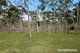 Photo - 554 Mulwaree Drive, Tallong NSW 2579 - Image 16