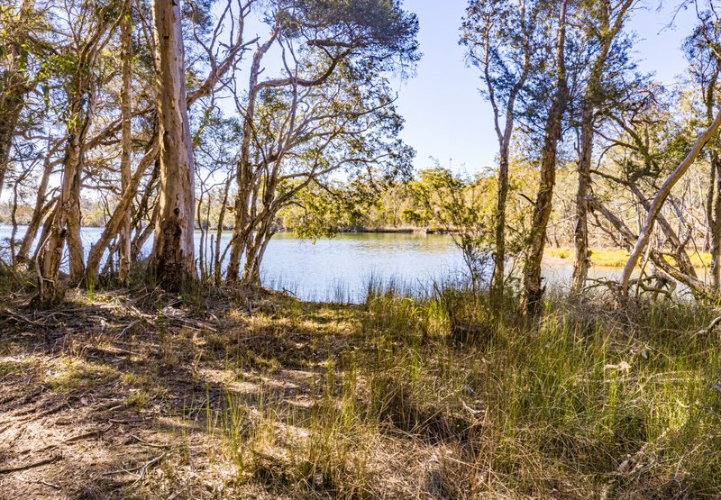 Photo - 555 Follies Road, Old Bar NSW 2430 - Image 7