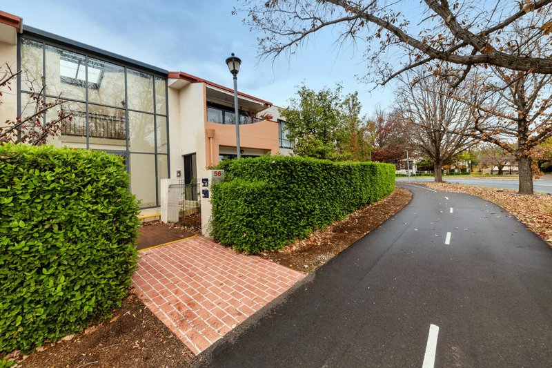Photo - 5/56 Ijong Street, Braddon ACT 2612 - Image 2