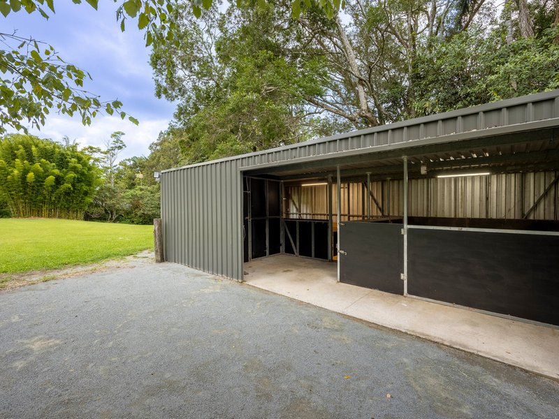 Photo - 557 Tallebudgera Creek Road, Tallebudgera Valley QLD 4228 - Image 5