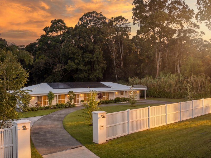 Photo - 557 Tallebudgera Creek Road, Tallebudgera Valley QLD 4228 - Image 17