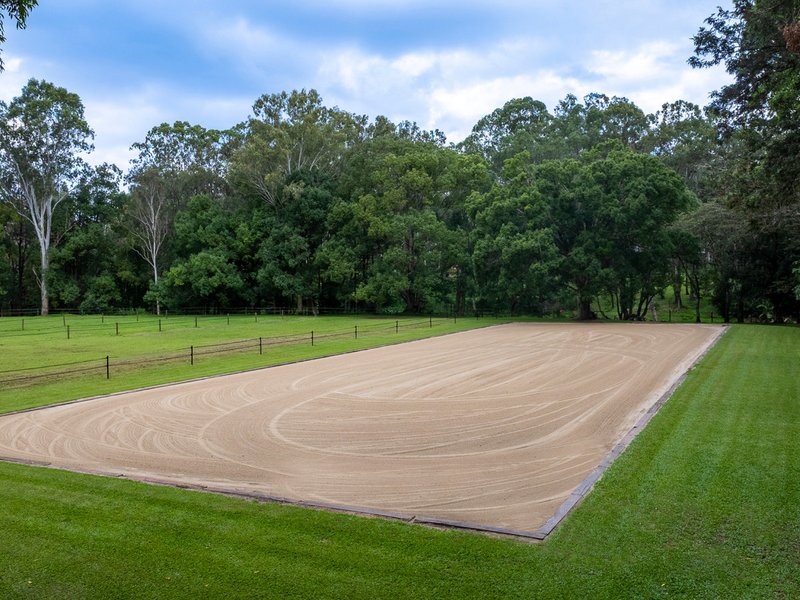 Photo - 557 Tallebudgera Creek Road, Tallebudgera Valley QLD 4228 - Image 19