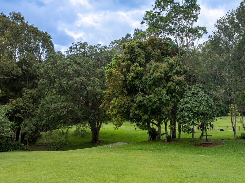 Photo - 557 Tallebudgera Creek Road, Tallebudgera Valley QLD 4228 - Image 20