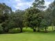 Photo - 557 Tallebudgera Creek Road, Tallebudgera Valley QLD 4228 - Image 20