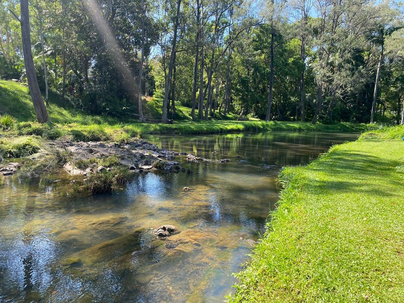 Photo - 557 Tallebudgera Creek Road, Tallebudgera Valley QLD 4228 - Image 22